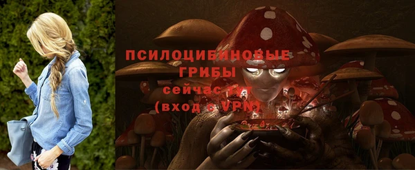 ALPHA PVP Арсеньев