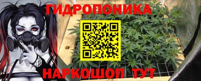 стаф Заводоуковск