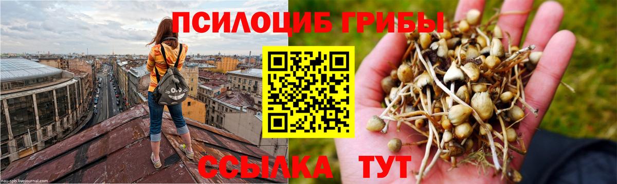 Псилоцибиновые грибы Magic Shrooms  Вход с VPN  Псилоцибиновые грибы мицелий  Нижний Новгород 
